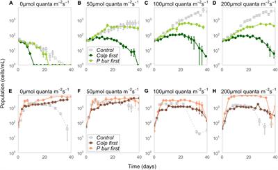 Metabolic Symbiosis Facilitates Species Coexistence and Generates Light-Dependent Priority Effects